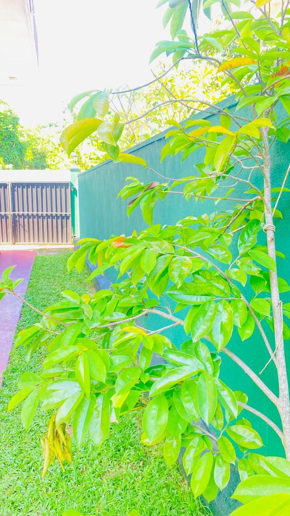 Sanasuma Villa Bentota Luaran gambar